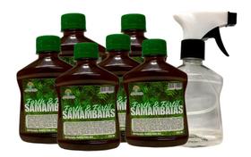 Fertilizante para Samambaias Pronto pra Uso 250ml Forth & Fértil -6 unid. + 1 Spray - Vd00