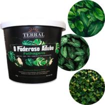 Fertilizante Poderoso Adubo folhagens 90 g terral