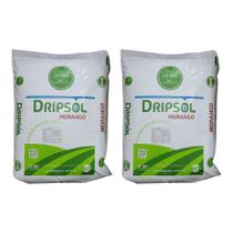 Fertilizante Solúvel DRIPSOL MORANGO 2kg - Alto Rendimento e Qualidade do Fruto