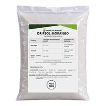 Fertilizante Solúvel DRIPSOL MORANGO 500g - Alto Rendimento e Qualidade do Fruto Fertilizante Solúvel DRIPSOL MORANGO 500g - Alto Rendimento e Qualidade do Fruto