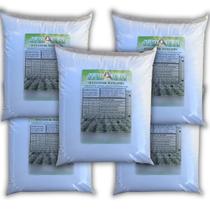Fertilizante Sulfato De Manganês 25kg Adubo Ferti Hidroponia Fertilizante Sulfato De Manganês 25kg Adubo Ferti Hidroponia
