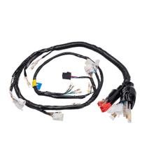 Fiacao Principal (chicote) Condor Xtz 125 Es 02/05 Fiacao Principal (chicote) Condor Xtz 125 Es 02/05