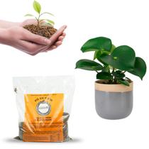 Fibra de Coco em Pó Coquim 1kg Fibra de Coco em Pó Coquim 1kg