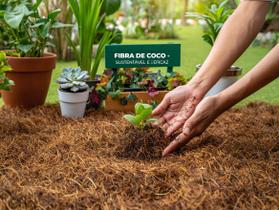 Fibra de Coco horta planta Orquidea Jardim lavado 3 Litros
