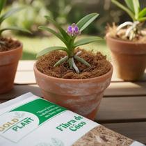 Fibra de Coco Horta Planta Orquidea Jardim (lavado) 40 Litros Gold Plant