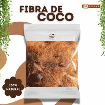Fibra de Coco Lavado 10Lts para Plantas, Substrato, Jardinagem, Orquídeas, Suculentas e Hortas