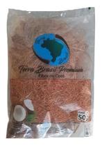 Fibra De Coco Pronta Jardinagem 50g Fibra De Coco Pronta Jardinagem 50g