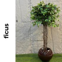 Ficus Caule Trançado Realista 1,80m de altura Plantas Permanentes
