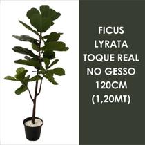 Ficus Lyrata Artificial 120m Planta com Toque Real no Gesso