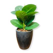 Ficus Lyrata Artificial Verde Toque Real Vaso Decoração Planta