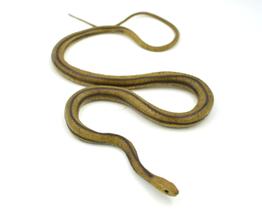 Figura de ação Mamejo Lifelike Rubber Replica Yellow Rat Snake 48 cm