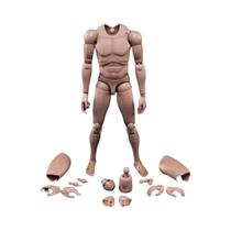 Figura de ação masculina de 6 polegadas, corpo articulado, cabeça esculpida, pele europeia,