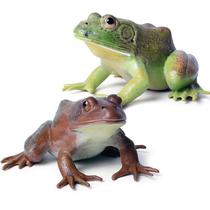 Figura de brinquedo SCAHOW Realistic Tree Frog Bullfrog Plastic Kids