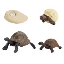 Figura do inseto de 4 partes ninhada plástica do ciclo de vida animal ao período maduro