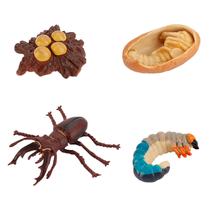 Figura do inseto de 4 partes ninhada plástica do ciclo de vida animal ao período maduro