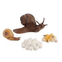 Figura do inseto de 4 partes ninhada plástica do ciclo de vida animal ao período maduro Figura do inseto de 4 partes ninhada plástica do ciclo de vida animal ao período maduro