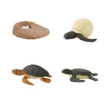 Figura do inseto de 4 partes ninhada plástica do ciclo de vida animal ao período maduro