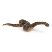 Figura realista: Anaconda, cobra, cobra, selva, vida selvagem, crianças