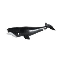 Figuras de Ação de Animais Marinhos em PVC para Crianças - Baleia Jubarte, Tubarão, Beluga e Golfinho