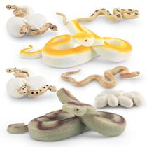 Figuras do ciclo de vida da cobra, 8 peças, estágios de crescimento do Python Figuras do ciclo de vida da cobra, 8 peças, estágios de crescimento do Python