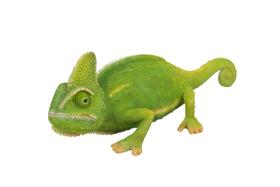 Figurine Hi-Line Gift Ltd Cameleon Polyresin, interior e exterior