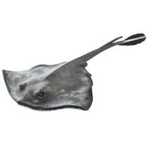 Figurine Safari Ltd. Common Stingray 7cm - Brinquedo educativo 3+