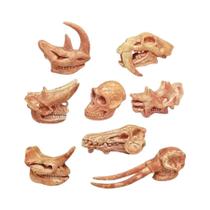 Figurinha De Fósseis De Crânio De Dinossauro Carnotaurus Pintada À Mão Para Crianças, Modelo Sólido