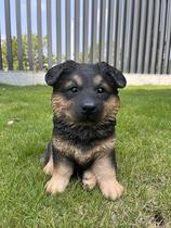 Filhote de pastor alemão de 10" da Sculpture Hi-Line Gift Ltd.