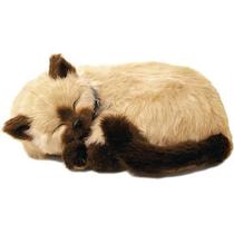 Filhote Gato Siamês Caramelo Pelúcia Simulação de Respiração Imex