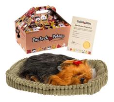 Filhote Pelúcia Yorkie Perfect Petzzz