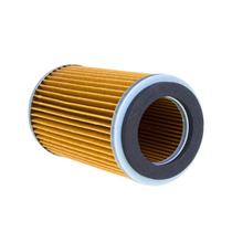 Filtro Ar Dafra Apache 150 2010 a 2014