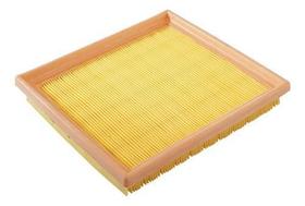 Filtro ar wega fap2219