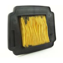 Filtro de AR BIZ 125 Honda 2012 em Diante (valflex)