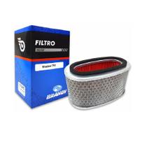 Filtro de ar brandy shadow 750