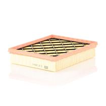 Filtro De Ar Motor C250081 Mann Filter