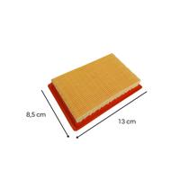 Filtro De Ar Para Soprador Costal BFG 600 2T Buffalo 6665