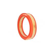 Filtro de ar Racer 1995 a 1995 Wega WR-209