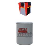 Filtro de combustivel - d10/20/bon maxion - fcd0796