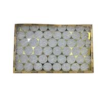 Filtro Moldura Rígida Encartonado F Pd-U/4 Couro 457X737X25Mm G4 Aeroglass