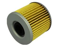 Filtro Óleo Gs 500 Todos 94-10