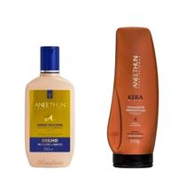 Finalizador 250G Silicone 250Ml Kera System Aneethun