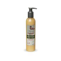 Finalizador Danificados Argan Girass 240ml