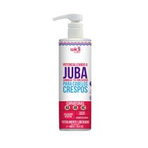 Finalizador Gommage Widi Care Juba Potencializando A juba 480g Finalizador Gommage Widi Care Juba Potencializando A juba 480g