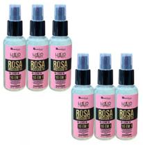 FINALIZADOR LEAVE IN ROSA MOSQUETA 10 EM 1 120ml NATUFLORES Kit 6und FINALIZADOR LEAVE IN ROSA MOSQUETA 10 EM 1 120ml NATUFLORES Kit 6und