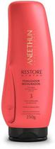 Finalizador Restaurador N3 Aneethun Restore System 250g