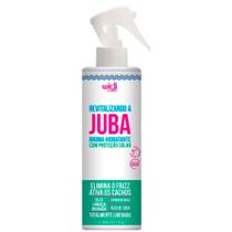 Finalizador Widi Care Revitalizando a Juba Bruma Hidratante 300ml
