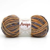 Fio Amiga Círculo Mesclado 100g