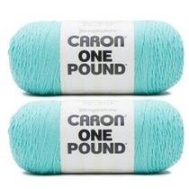 Fio Caron ONE POUND ROBINS EGG 100% acrílico, 812 jardas