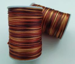 Fio Cetim Seda Rabo Rato 100 Metros Multicolorido Mesclado 2mm