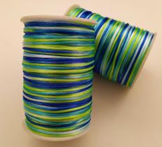 Fio Cetim Seda Rabo Rato 100 Metros Multicolorido Mesclado 2mm